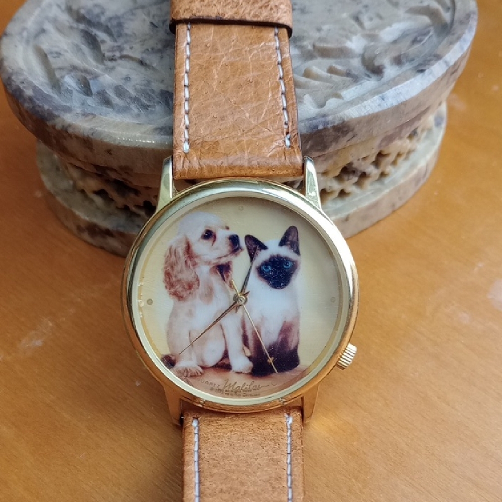 Dog And Cat Watch